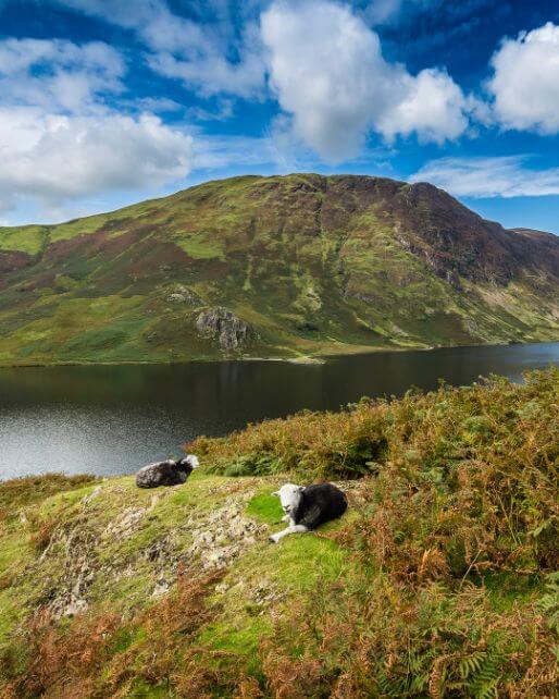 Harrow & Smith Lake District